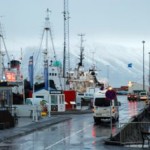 Escursioni in barca in Islanda