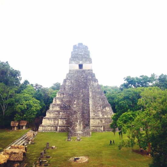 Tikal maya flores